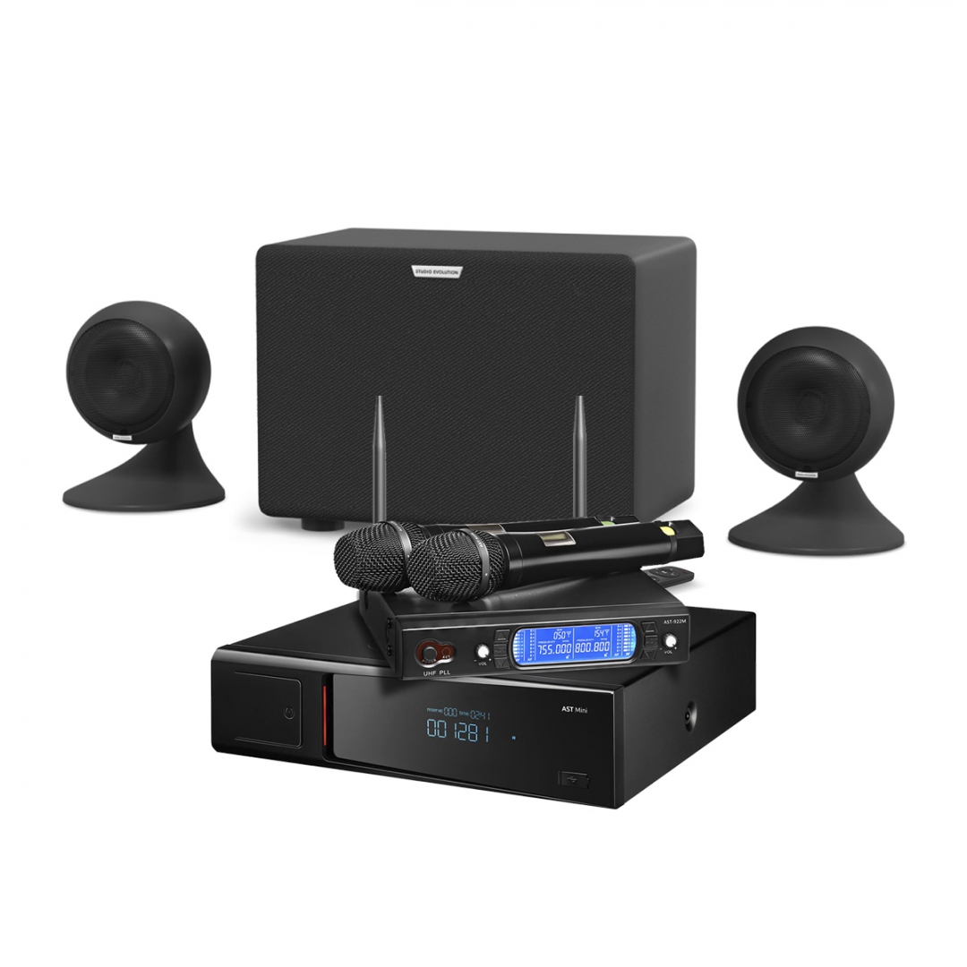 караоке-комплект AST Mini Sound Sphere в Арзамасе