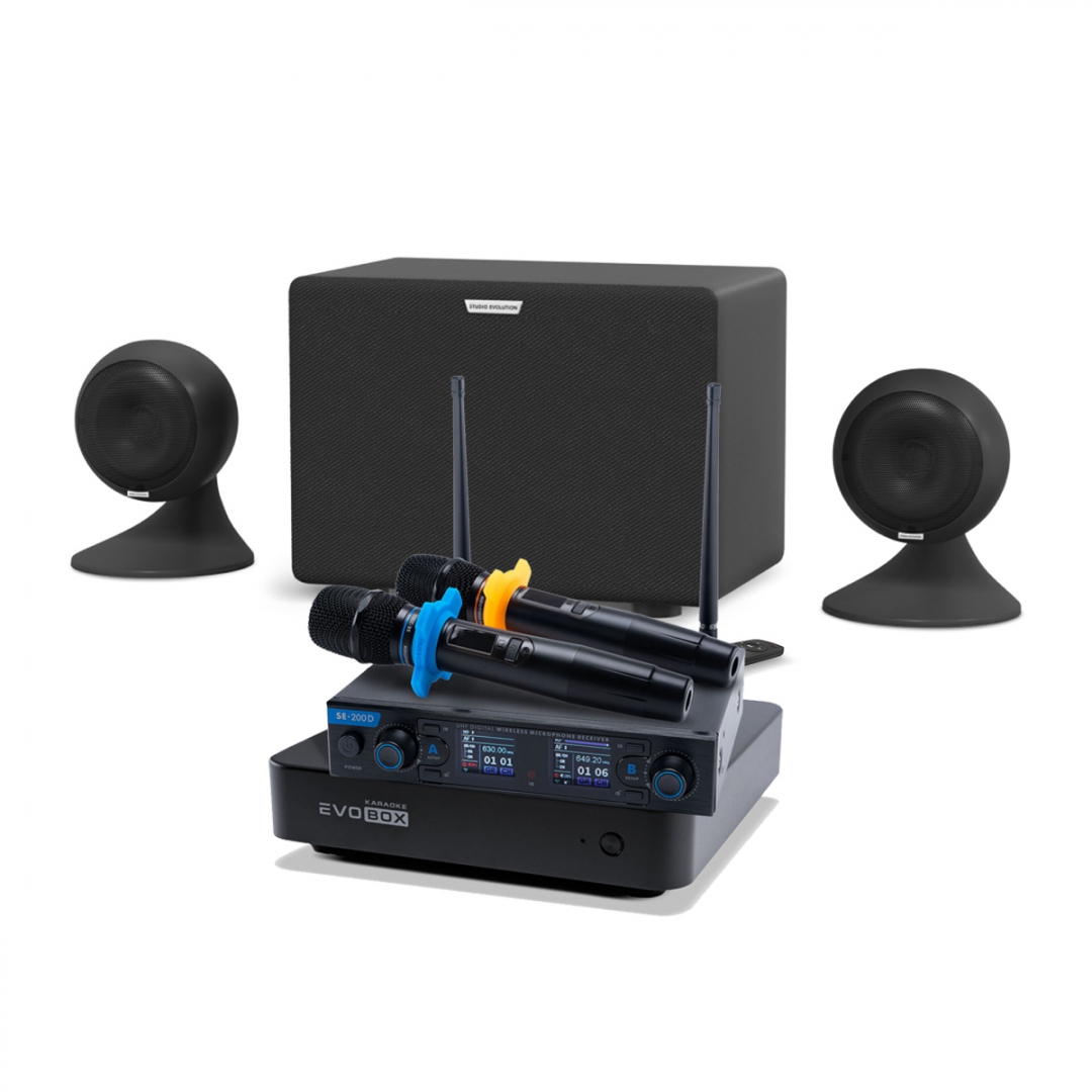 караоке-комплект EVOBOX + EvoSound Sphere 2.1 в Арзамасе