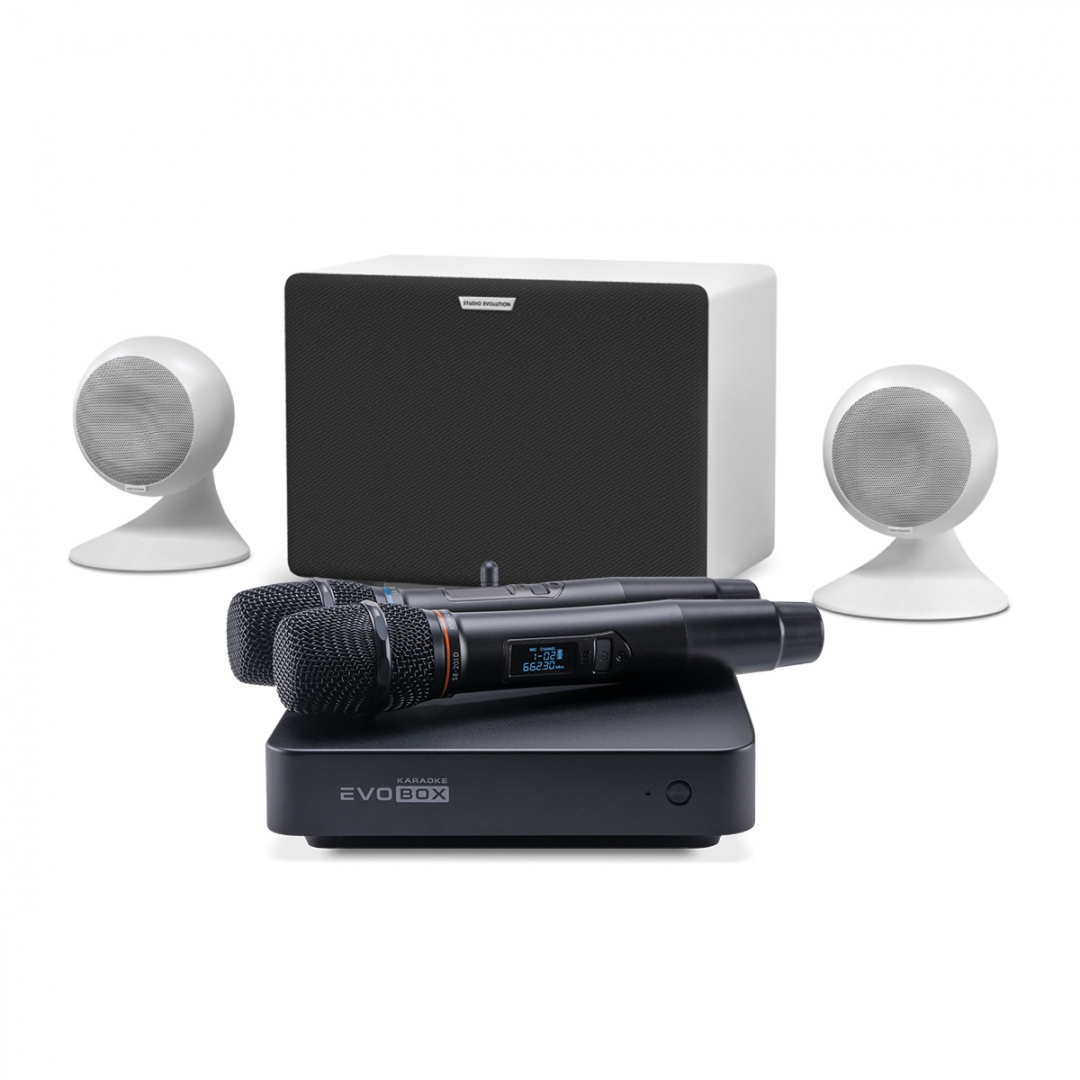 караоке-комплект EVOBOX Classic + EvoSound Sphere 2.1 в Арзамасе