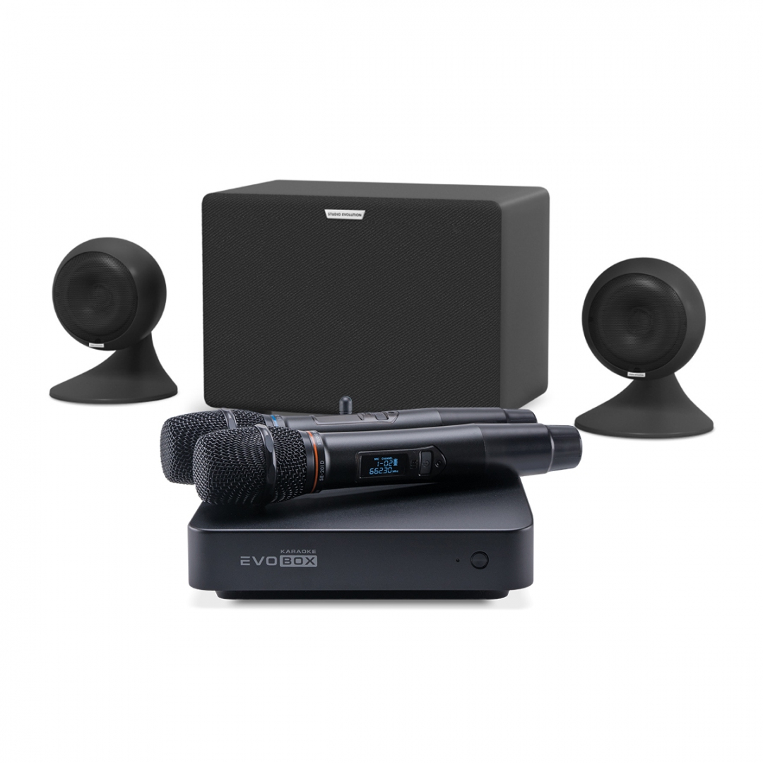 караоке-комплект EVOBOX Plus + EvoSound Sphere 2.1 в Арзамасе