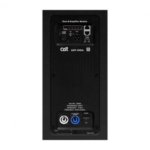 Активная акустическая система AST-310A в Арзамасе