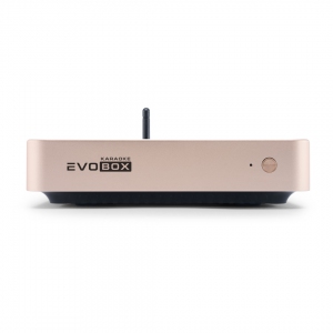 EVOBOX Plus караоке-система для дома в Арзамасе
