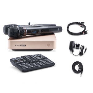 EVOBOX Plus караоке-система для дома в Арзамасе