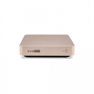 EVOBOX с микрофонами в Арзамасе